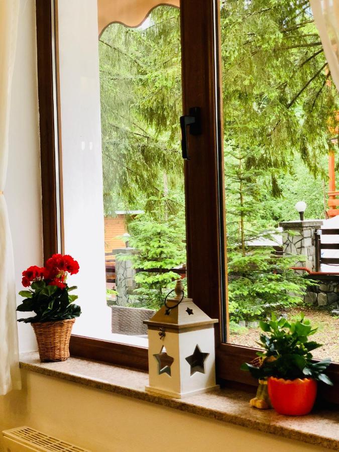 Pensiune & Restaurant Kalinder Buşteni Eksteriør billede